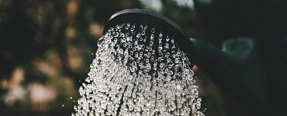 CONSEILS - Combien de fois arrose-t-on les nouvelles plantes et quelle quantité d'eau suffit ?